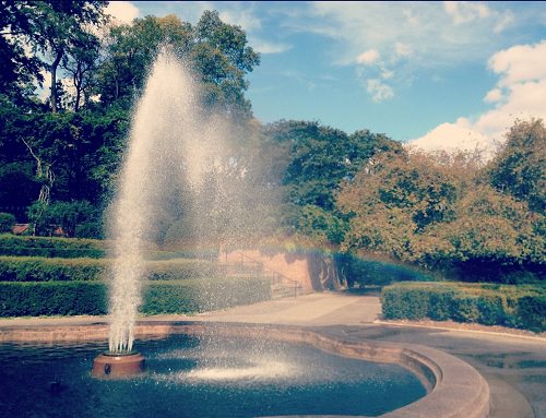 The Conservatory Garden in Central Park Image by Katie Goldstein