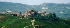 Wine tasting weekend in Piemonte, Italy by Rebecca Nightingale