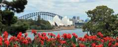 G’day Sydney by @maiden_voyage
