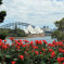 G’day Sydney by @maiden_voyage