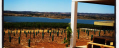 Wine, sun and lux in Alentejo, Portugal