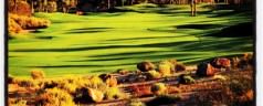 Cooling down in sunny Scottsdale, Arizona