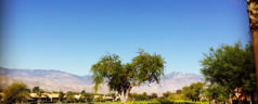 My favourite places in Palm Springs and Palm Desert
