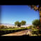 My favourite places in Palm Springs and Palm Desert