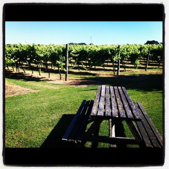 Even the weather cooperated - it was 28C and glorious Even the weather cooperated - it was 28C and glorious