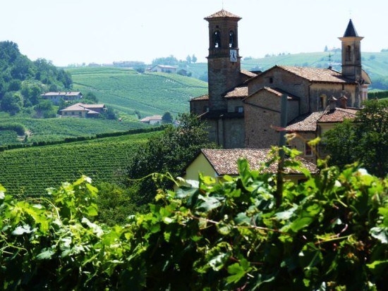 Vineyards from Brezza overlooking Barolo