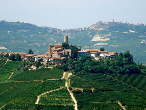 The Langhe, Piemonte