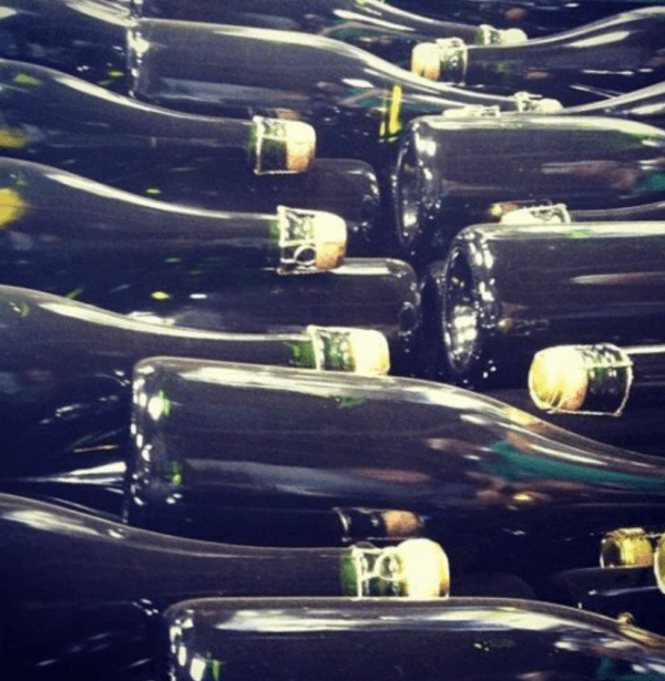 wine tasting in england west sussex bolney estate champagne bottles