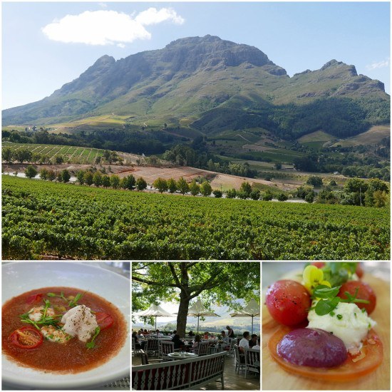 Luxury trip to Cape Town South Africa - Wine Tasting Delaire Graff