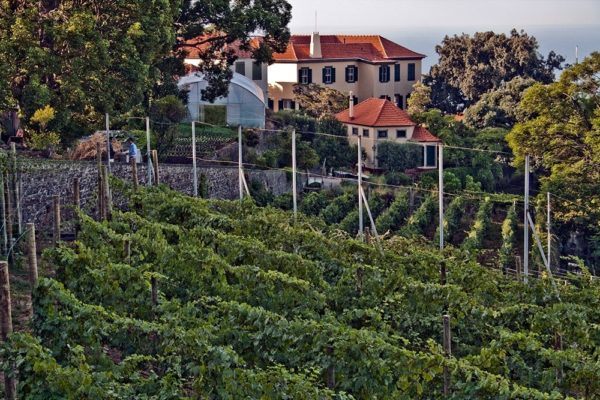 Madeira Wine Guide Blandy Quinta de Santa Luzia