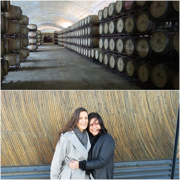 wine tourism portugal herdade do esporao wine tasting tour cellar 2