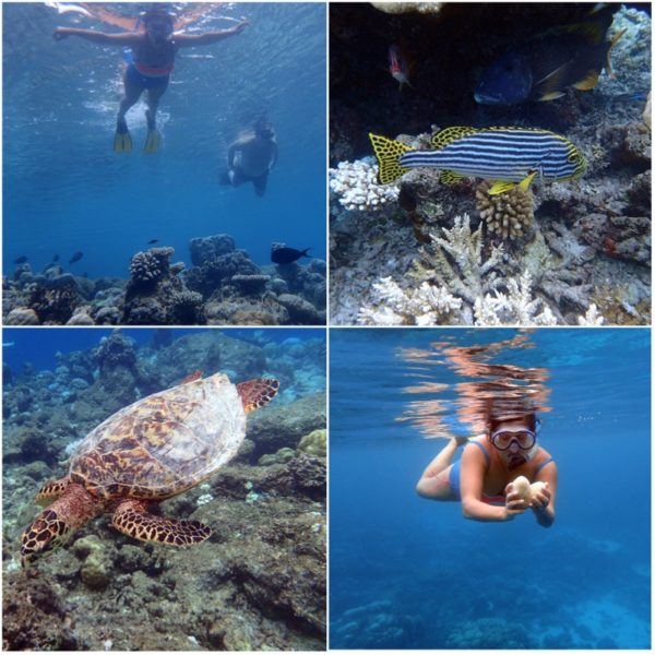baros maldives hotel slh sovereign luxury holidays snorkelling