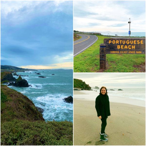 bodega bay pacific ocean portuguese beach sonoma coast state park things to do in sonoma county