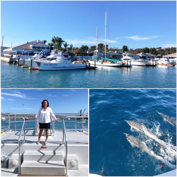 things to do in dana point california dana wharf whale dolphin sightseeing cruises