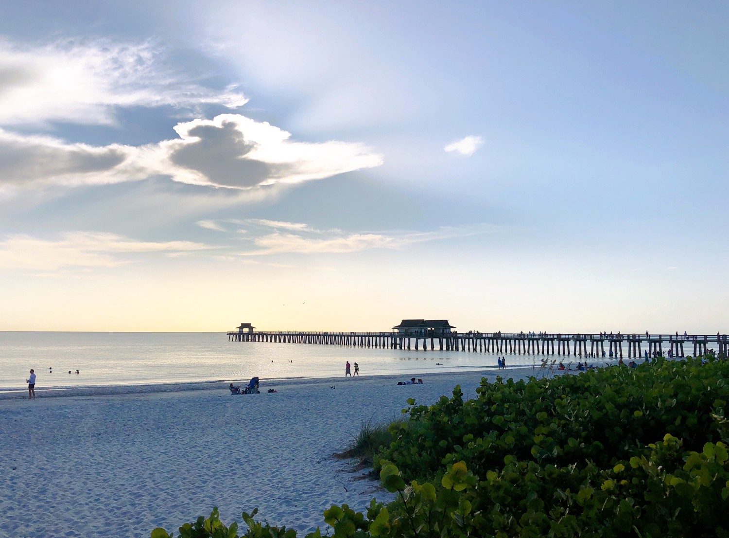 best places in florida naples pier small