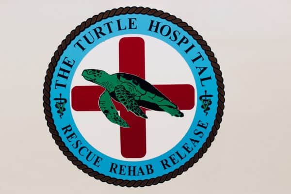 Florida Sea Turtle Hospital