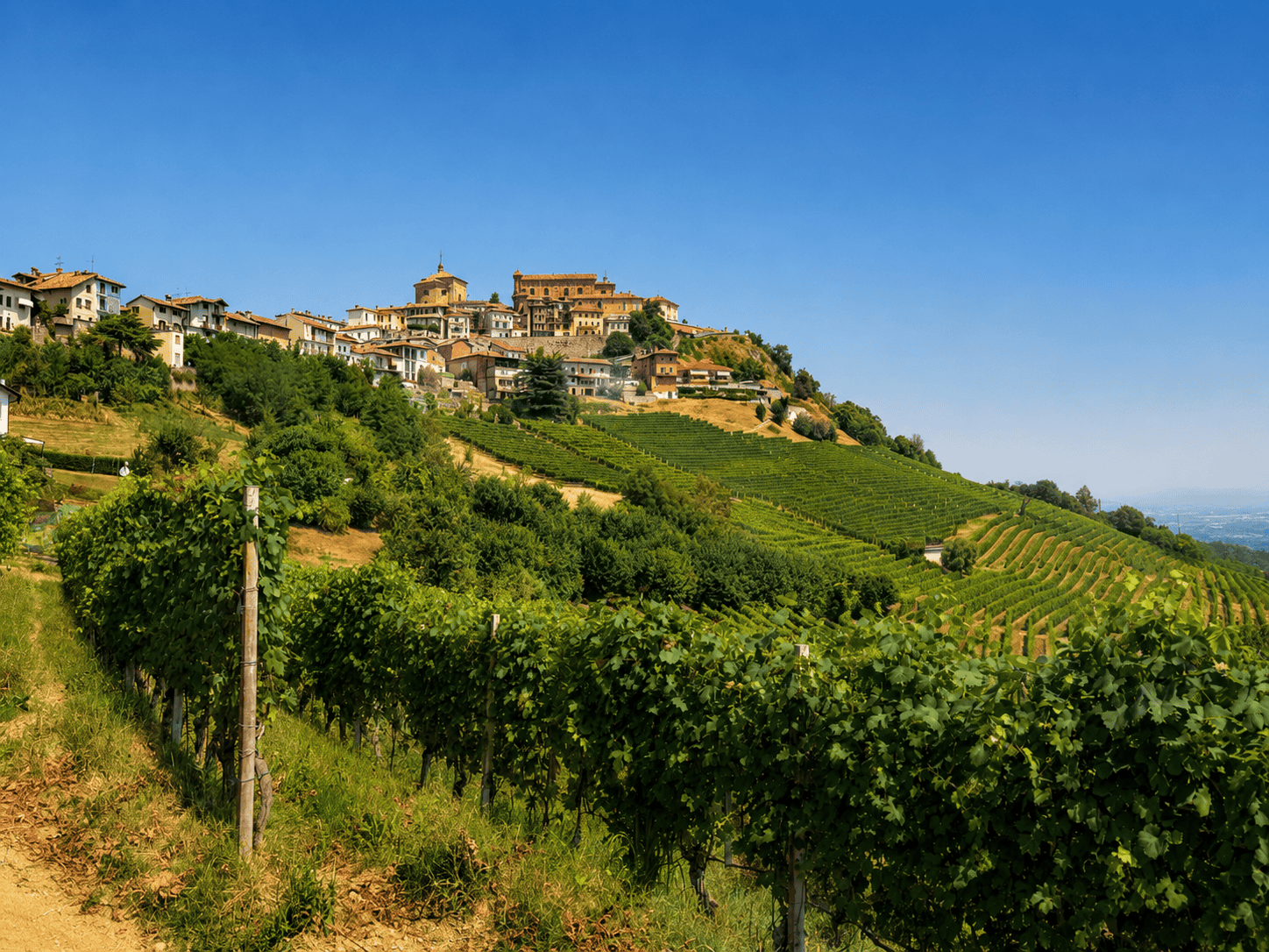 Barolo & Le Langhe