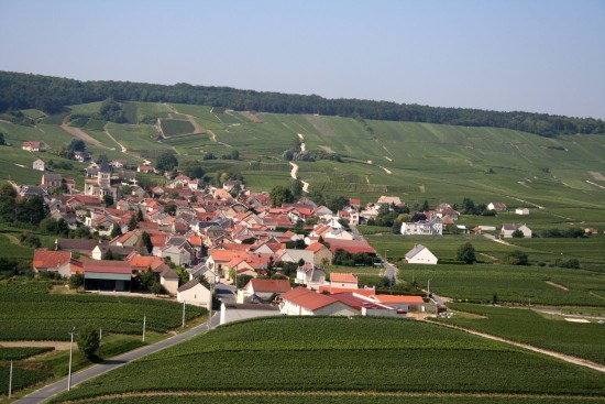 A patchwork of different champagne vineyards surround the village of Sacy, Montagne de Reims, Champagne Ardenne.