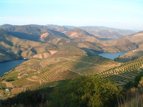 Sunset at the Douro Valley, Portugal