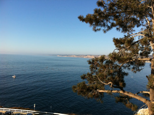 The view from Eddie V, La Jolla
